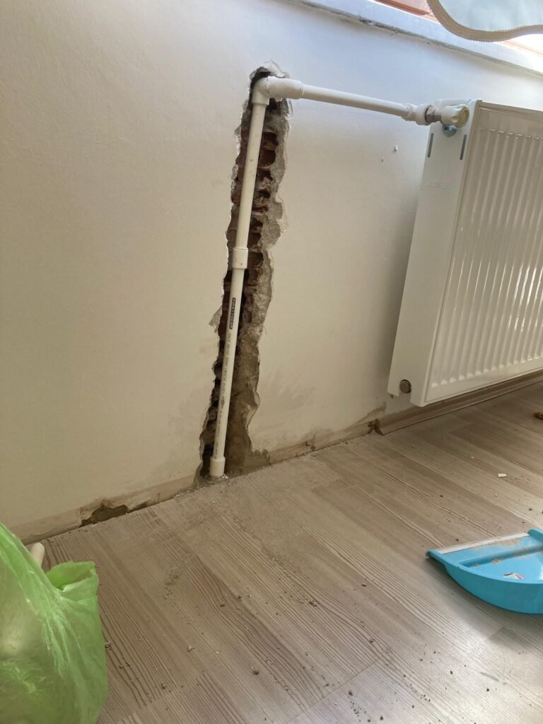 3df111e9-83a4-4eb5-8823-ba72c5c34300